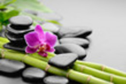 ARMONIA TERAPIAS NATURALES, ESTETICA NATURAL Y ESOTERISMO