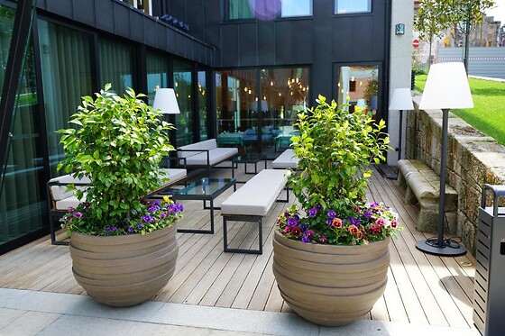 Castelo Hotel **** - photo 8