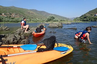 Canoagem no rio Douro - Passeio das três pontes em Peso da Régua | Naturimont