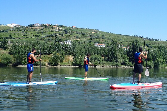 Stand Up Paddle no Rio Douro com a Naturimont | Para 1 pessoa (Peso da Régua)