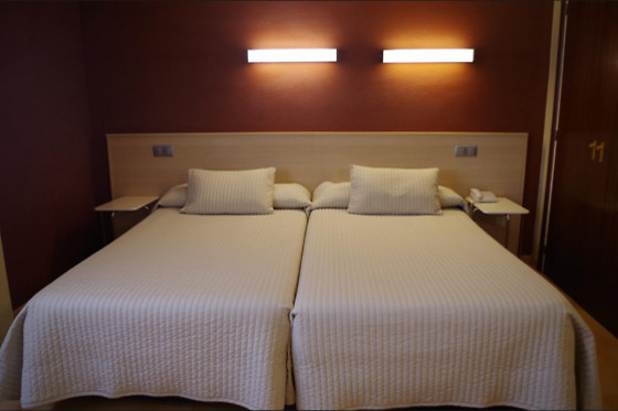 HOTEL ALAIZ - photo 5