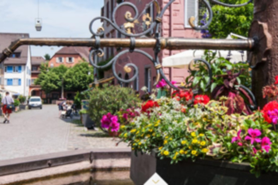 Fauststube im Löwen - photo 2