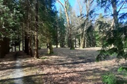 BALNEARIO CASA PALLOTTI