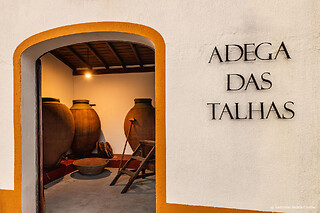Visita à Adega + Degustação de Vinhos para 2 | Casa das Talhas, Vidigueira (Beja)
