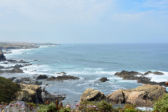 Natura Art Camping São Torpes *** by Campigir - photo 2