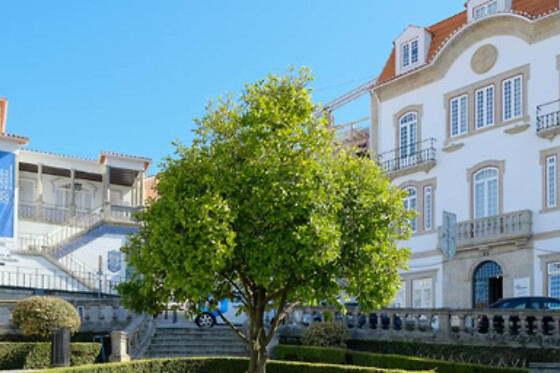 Bemyguest Viseu - photo 0