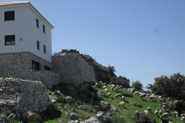 APARTAMENTOS RURALES LOS CASTILLAREJOS