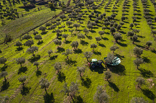 Quinta do Prado - Acushla em Vila Flor (Bragança)