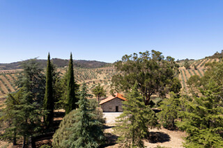 Quinta do Prado - Acushla em Vila Flor (Bragança)