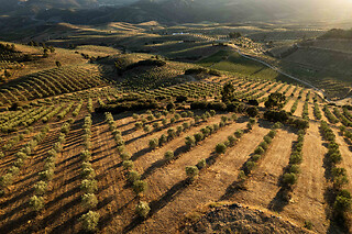 Quinta do Prado - Acushla em Vila Flor (Bragança)