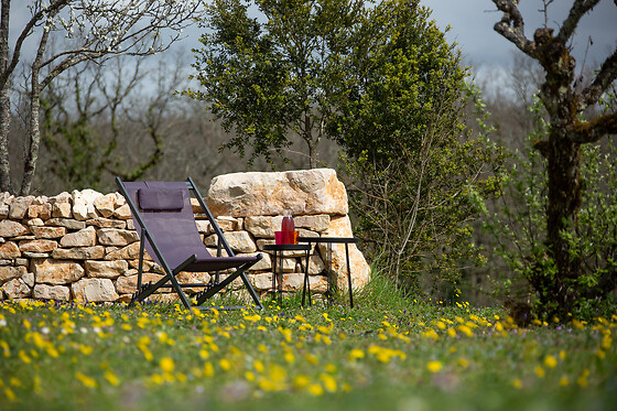 Domaine de Bel-Air - photo 10