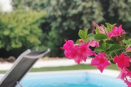 Escapadinha rural com Pack Gastronómico a Dois | Meio Center - Alcanede (Santarém)