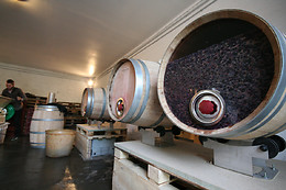 Le domaine Grand Guilhem