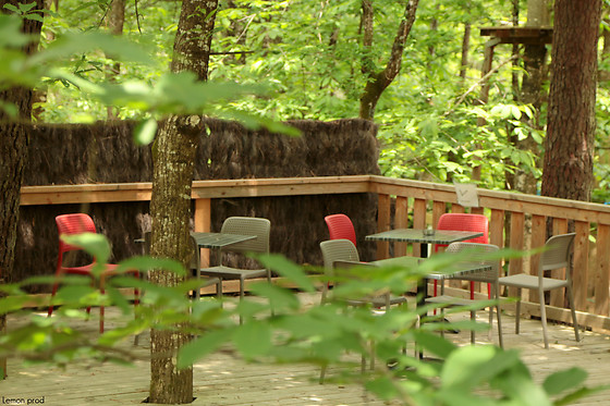 Forêt Adrénaline Carnac - photo 11