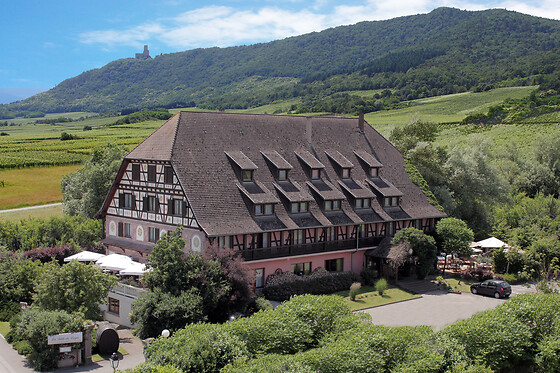 Hôtel Le Verger des Châteaux - The Originals Relais Sélestat Nord - photo 10