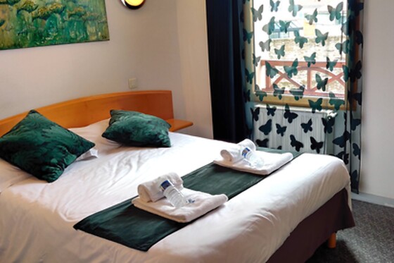 Hotel La Bosselle - photo 2
