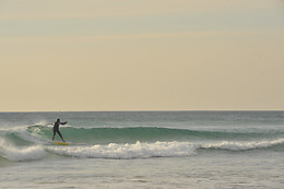 SURFER TARIFA