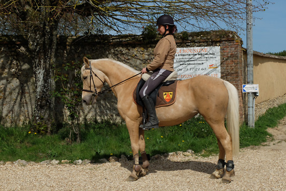 La houssine - photo 1