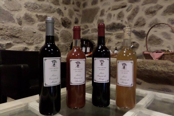 Visita guiada à Adega e Prova de vinhos para 2 na Casa Grande do Seixo - Vidago (Vila Real)