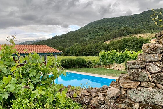 Visita guiada à Adega e Prova de vinhos para 2 na Casa Grande do Seixo - Vidago (Vila Real)