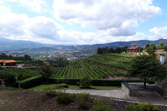 QUINTA DE SANTA CRISTINA - photo 0