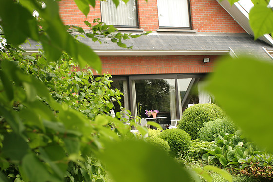 B&B Goudsbloempje - photo 5