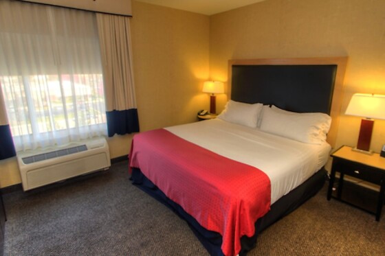 Online Booking EPS - photo 6