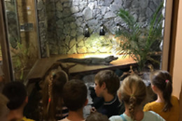 Mike's Reptipark