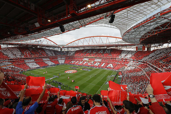 SL Benfica Ultimate Experience - 1 dia na Luz