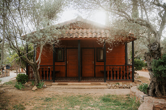 CAMPING ALQUEZAR - photo 1