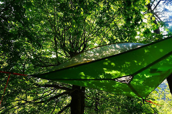 Baumhaushotel Robin's Nest - photo 0