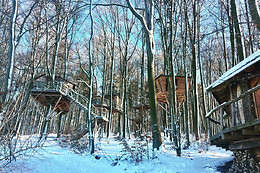 Baumhaushotel Robin's Nest