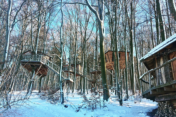 Baumhaushotel Robin's Nest - photo 1
