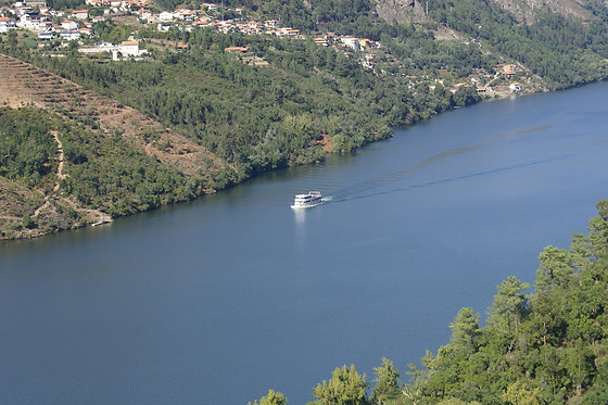 MANOS DO DOURO - photo 9