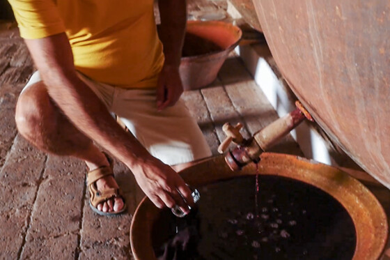Um workshop de prova de vinhos com exercício de aromas para 1 em Cella Vinaria Antiqua by Honrado Vineyards em Vidigueira (Beja)
