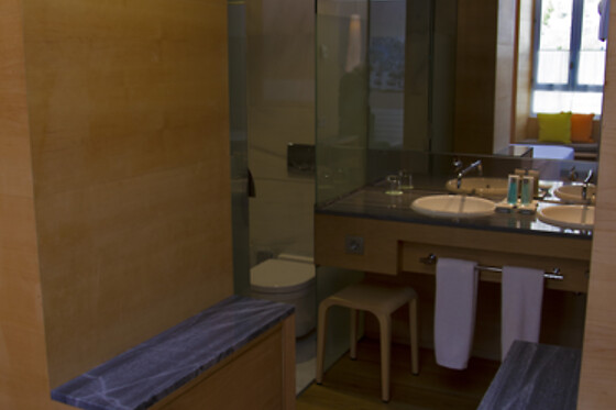 HOTEL RESORT BALNEARIO DE PANTICOSA - photo 7