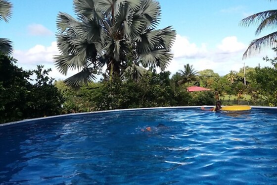 Online Booking EPS - photo 3
