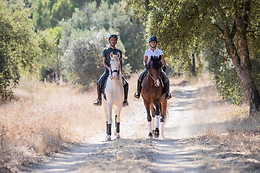 TURISMO RURAL VALE DE FERREIROS