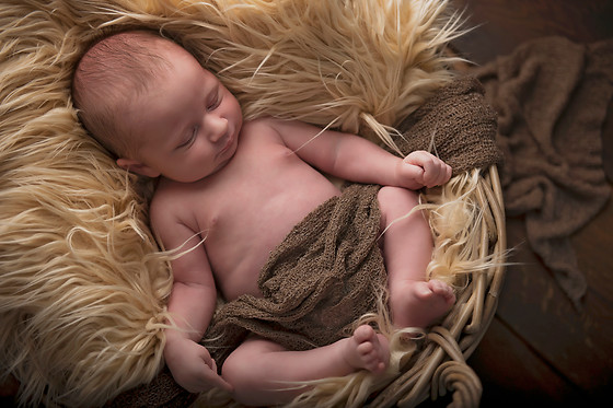 Fotografie Lies Huyskens - photo 8
