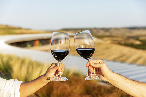 BODEGAS BERONIA - photo 15