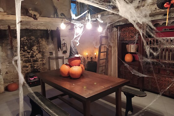 Aux Chambres Des Sorciers - photo 2