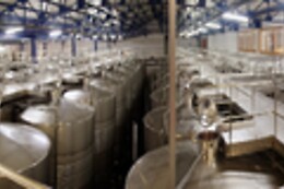 BODEGA SAN ESTEBAN