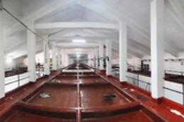 BODEGA SAN ESTEBAN