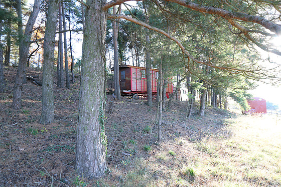 1001 Cornes - photo 9