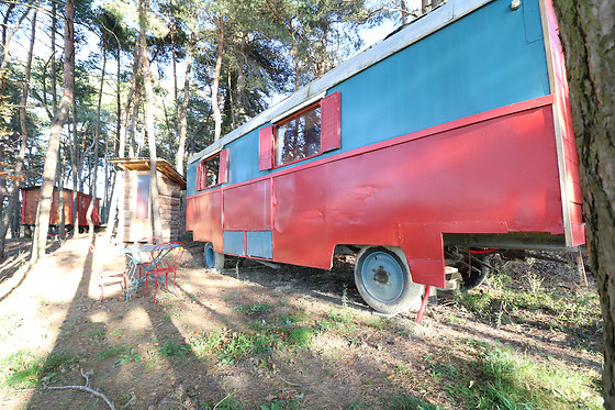 1001 Cornes - photo 0