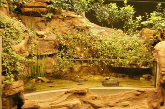Fluviário de Mora em Mora (Évora)