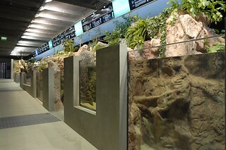 Fluviário de Mora em Mora (Évora)