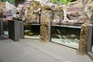 Fluviário de Mora em Mora (Évora)