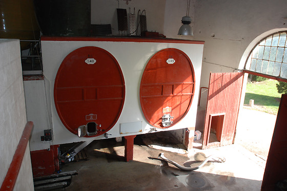 Château Auzias - photo 18