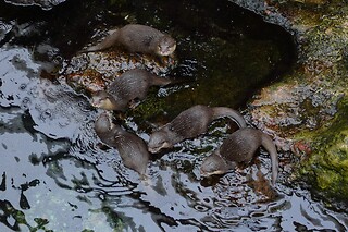 Fluviário de Mora em Mora (Évora)